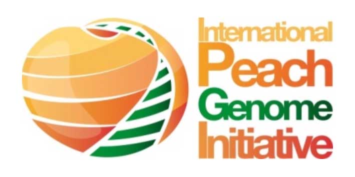 International pesch genoma initiative 1