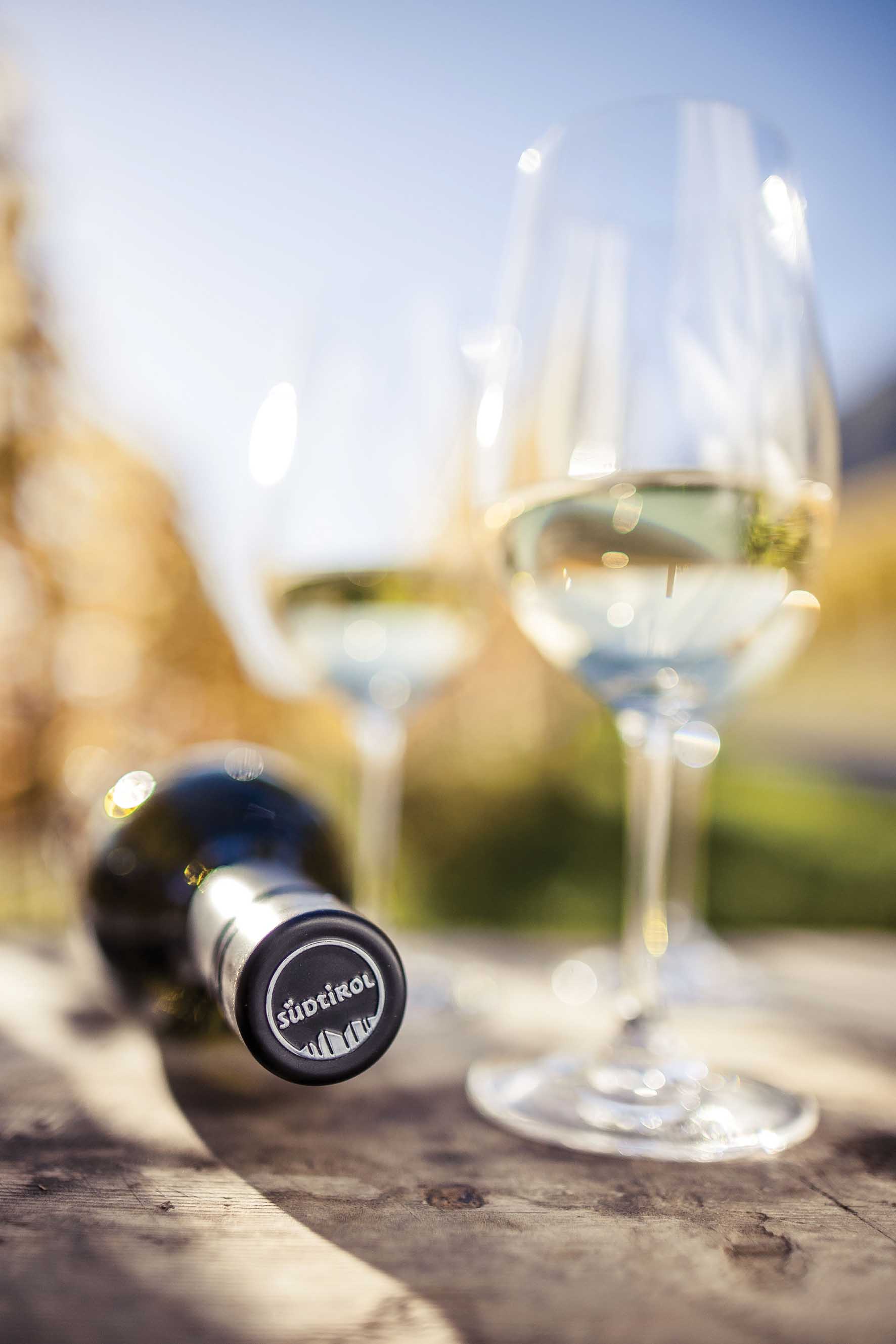 PAB Vini alto adige Capsula Südtirol bottiglia bicchiere Florian Andergassen 1