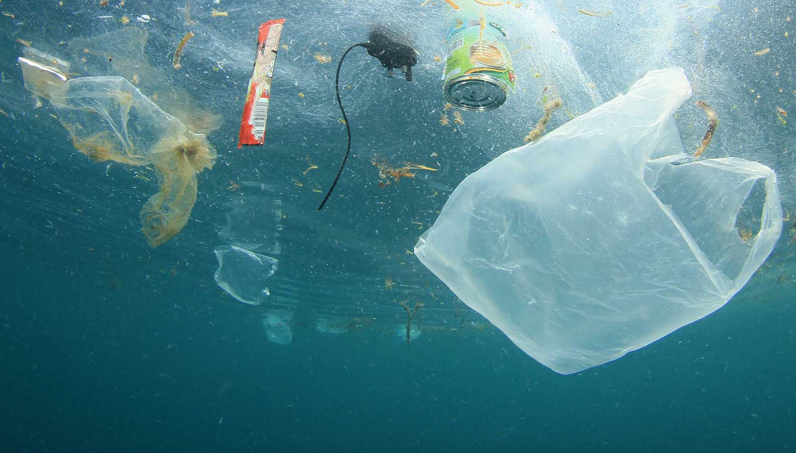 Ferrara provincia deplastificata