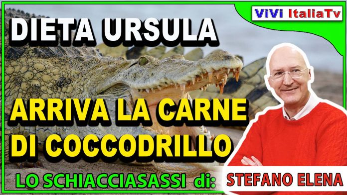 fettina di coccodrillo