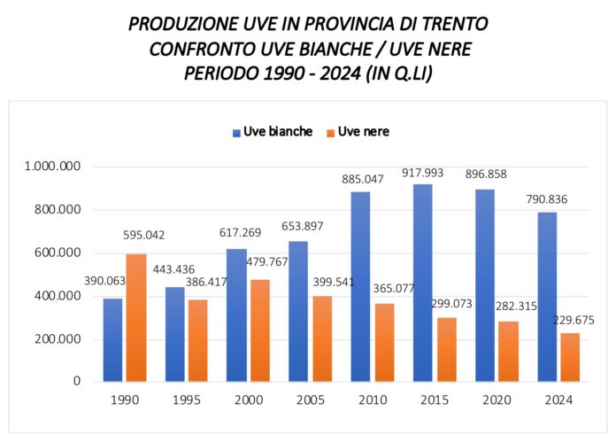 Vendemmia in Trentino: